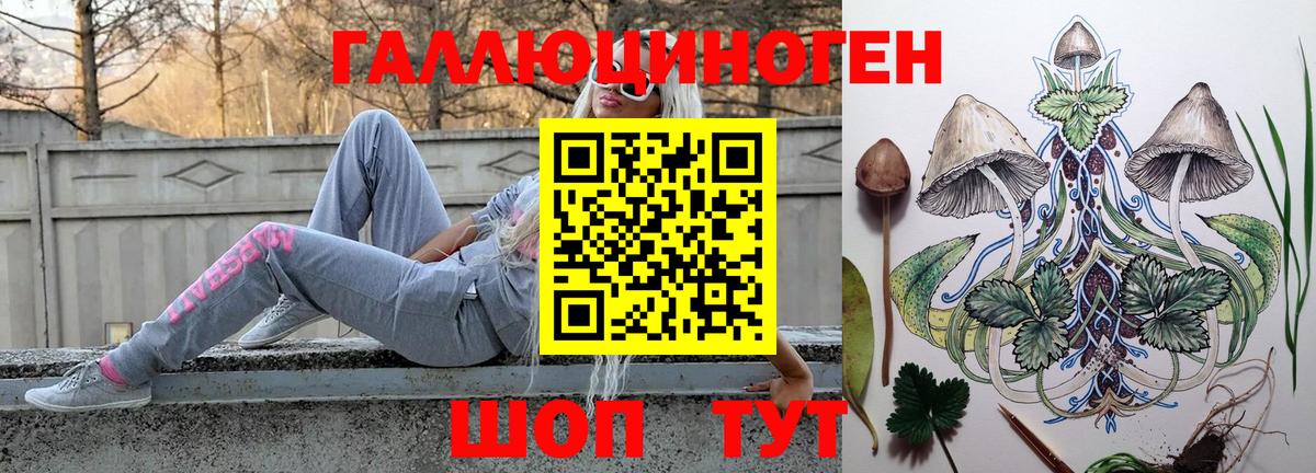 Галлюциногенные грибы Psilocybine cubensis  Вход с VPN  Выкса 